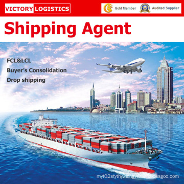 Freight Forwarder Agent/Shipping Logistics/Shipping Agent in China